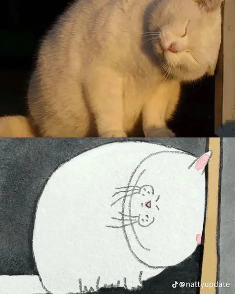 Котик трётся о дверь