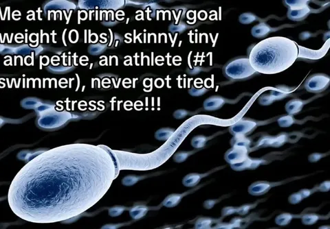 Me at My Prime Sperm