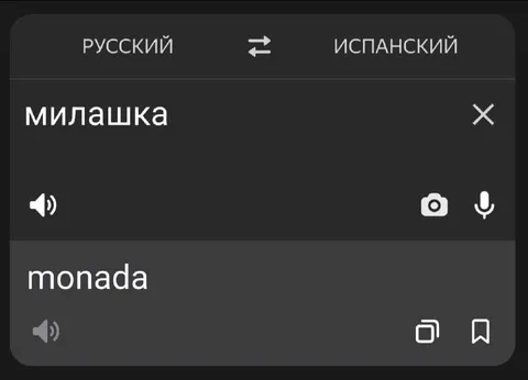 Переводчик снова всё испортил