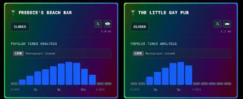 Gay Pub Popular Times Analysis