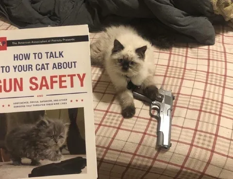 Cat Learns Gun Safety
