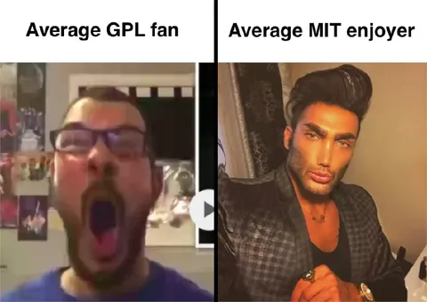 Average GPL Fan vs MIT Enjoyer