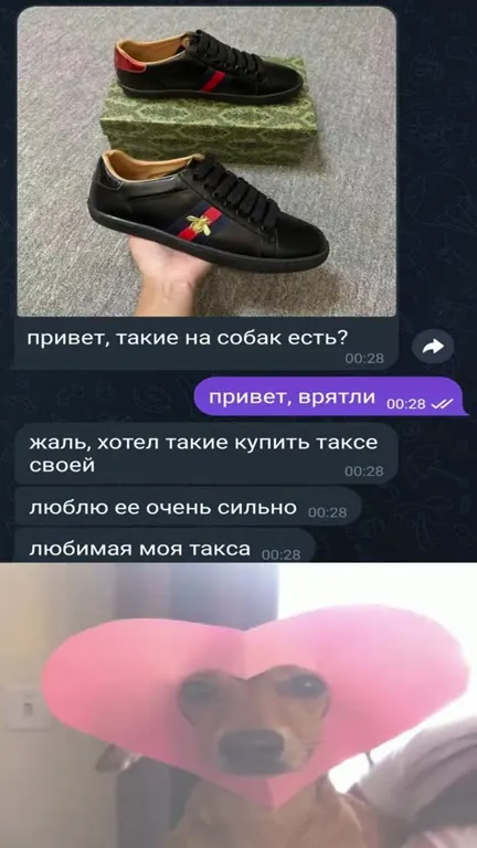 Любимая такса в сердечке