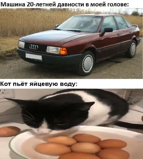Машина и кот пьют яйцевую воду