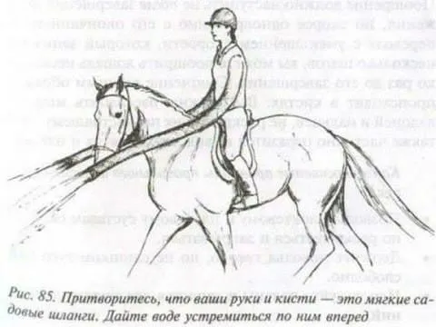 Притворитесь мягкими щитами