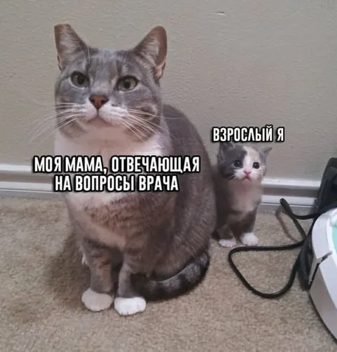 Мама отвечает за меня