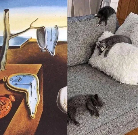 Коты и плавящиеся часы