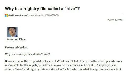 Why Registry Files Are Hives