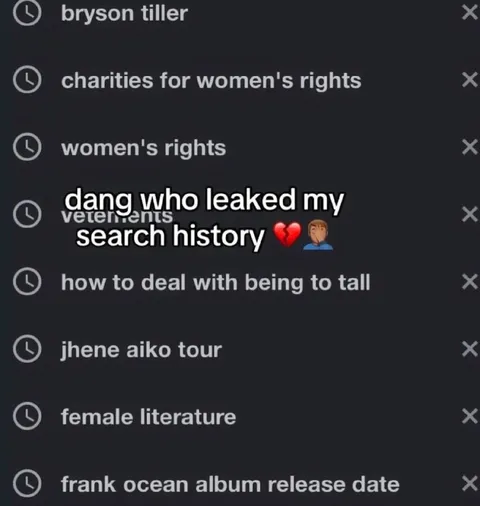 Leaked Search History