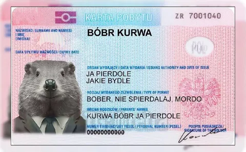 Karta pobytu bobra