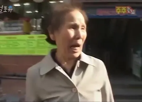 도시를 누비는 멧돼지