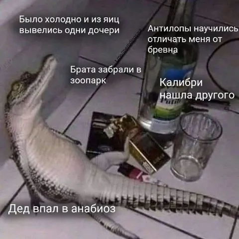Дед впал в анабиоз