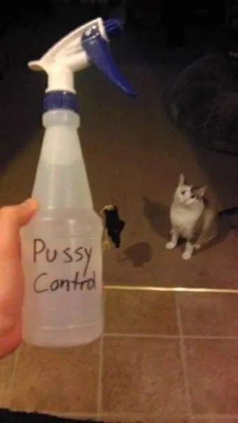 Pussy Control Spray