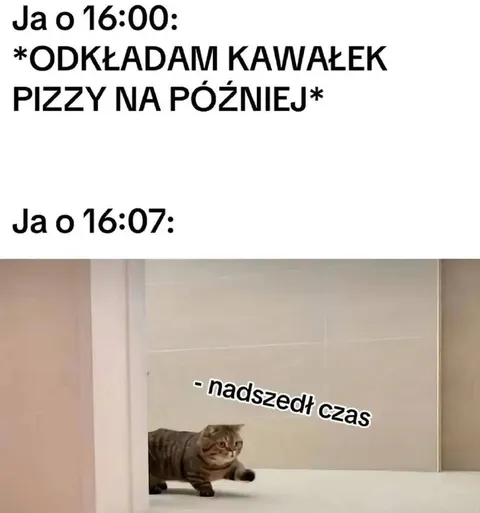 Kawałek pizzy na później