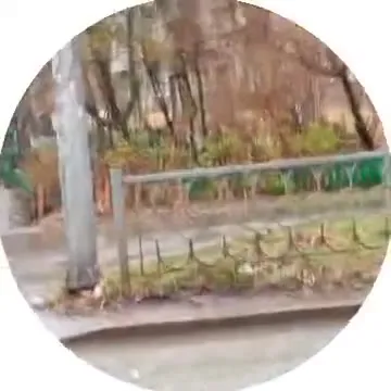 Светофор считает время