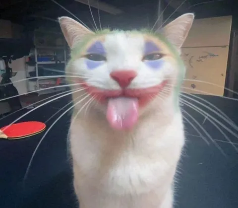 Кот с высунутым языком