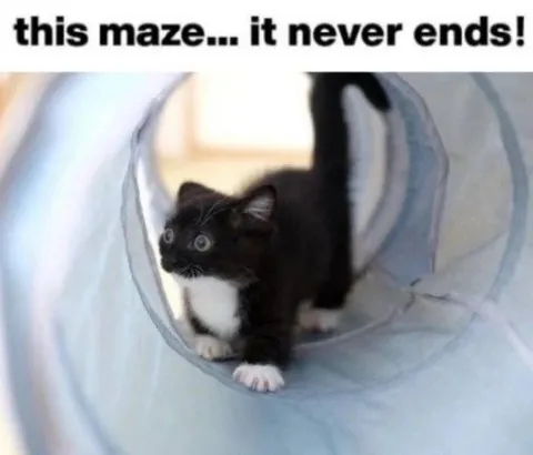 This Maze Never Ends