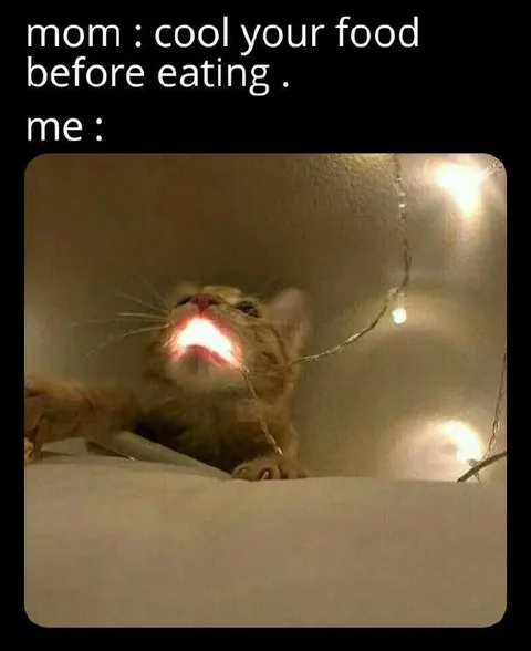 Cat Cools Food by Screaming