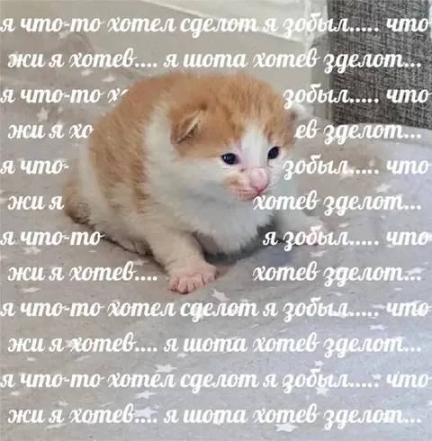 Я что-то хотел сделать