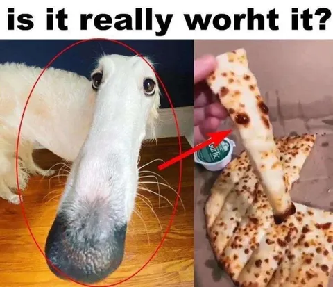 Is It Really Worth It?