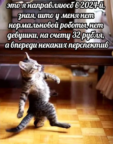 Кот идёт в 2024-й без перспектив