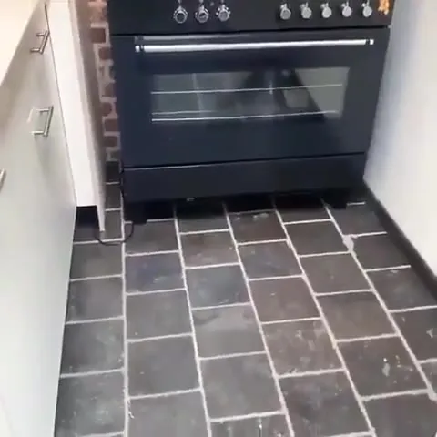 Любопытный зверёк у духовки