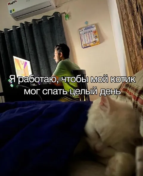 Работаю ради сна котика