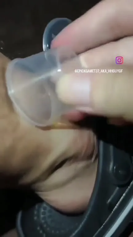 蚊子的表演与死亡记录