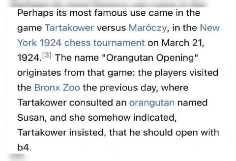 Orangutan Opening Advice