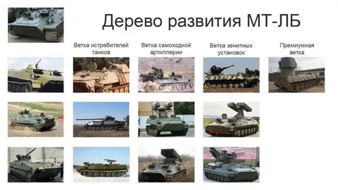Дерево развития МТ-ЛБ