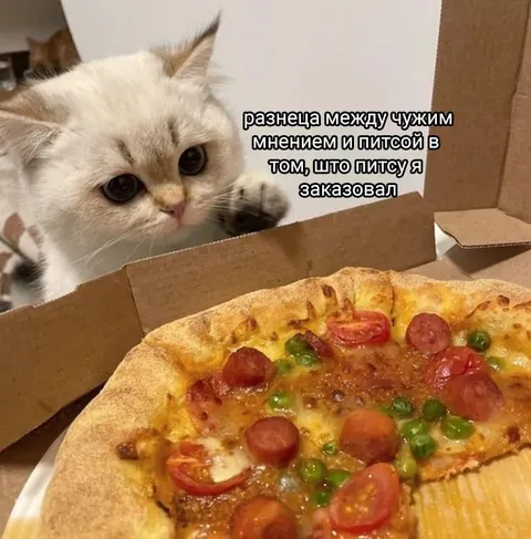 Кот и заказанная пицца