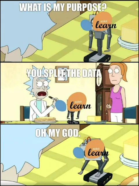 Rick and Morty Split the Data