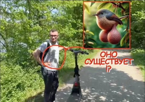 Оно существует?!