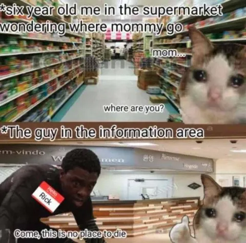 Crying Cat Looking for Mommy