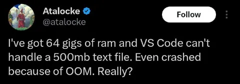 VS Code Crashes From OOM