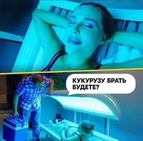 Кукурузу брать будете?