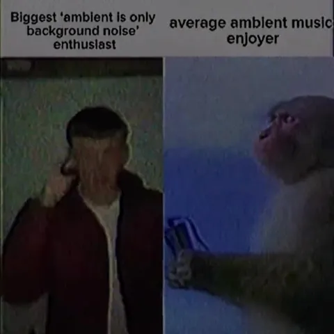Ambient Music Enjoyer