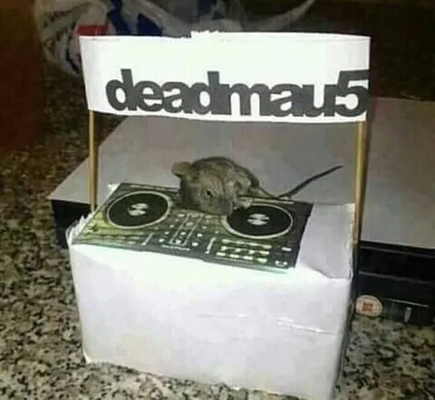 Mouse DJ at the Console