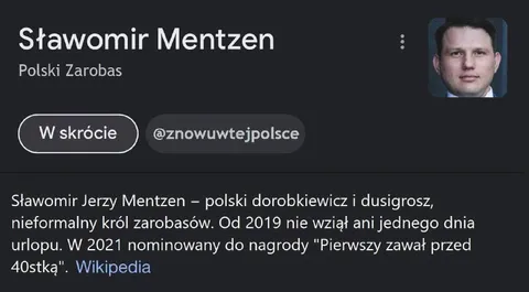 Sławomir Mentzen król zarobasów