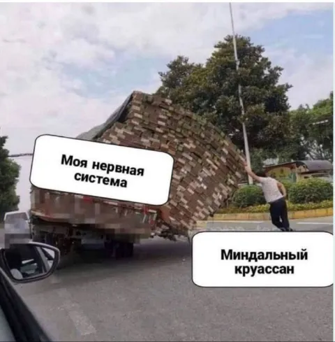 Моя нервная система и круассан
