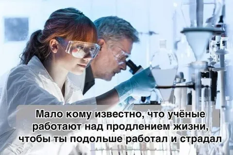 Учёные продлевают твою жизнь