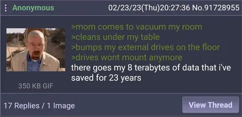 Mom Destroys 8 Terabytes