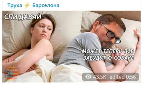 Может теперь все забудут о собаке