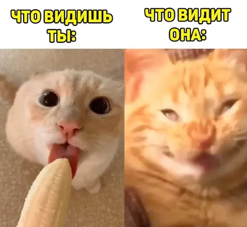Что видишь ты и она
