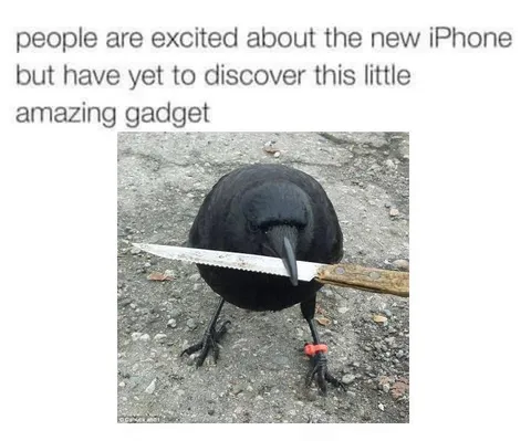 The Ultimate New Gadget