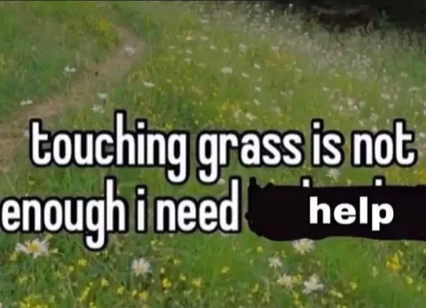 Touching Grass Is Not Enough