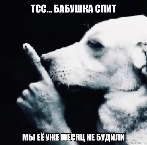 Бабушка спит уже месяц