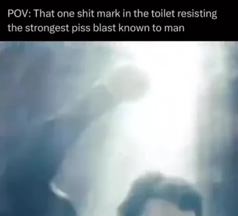 The Stubborn Toilet Stain