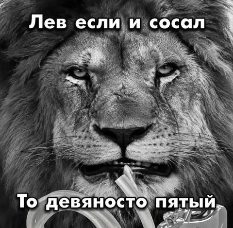 Лев сосёт девяносто пятый