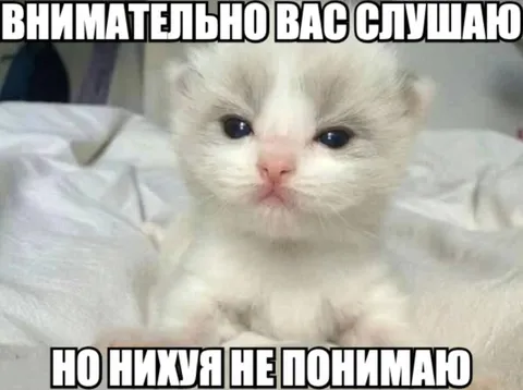 Внимательно слушаю, но не понимаю